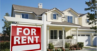 What We Do: Marketing Support